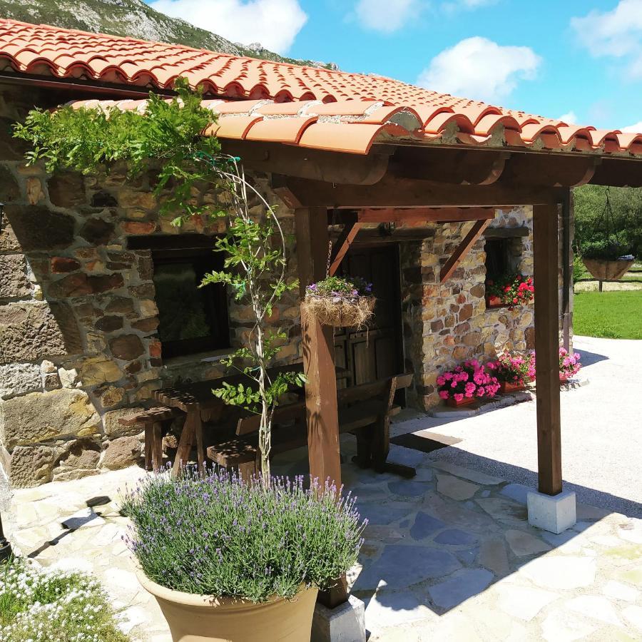 Cabana Del Jerreru Alea Exterior photo
